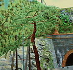 4346Aartalbahn_31_08_2014_d.jpg