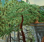 4346Aartalbahn_31_08_2014_f.jpg