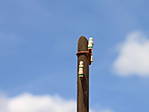 4346Telegraphenmast_31_07_2015_g.jpg