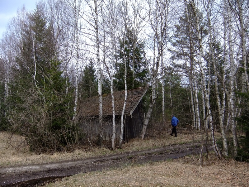 Torfb-RF01