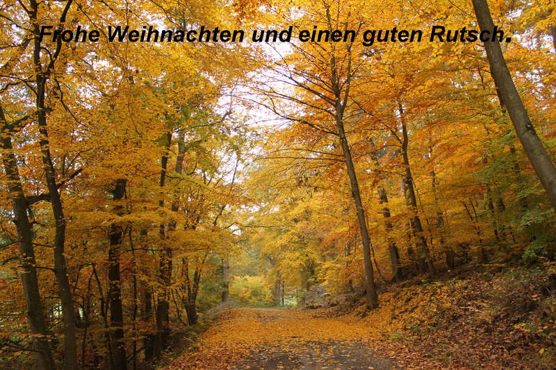 Herbststimmung 30.10.2015