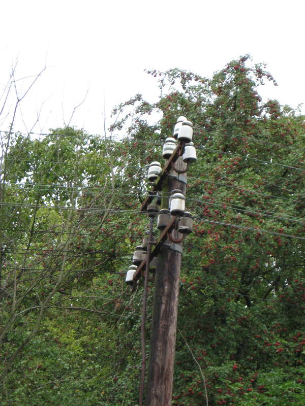 Tlegraphenmast 25.08.2011