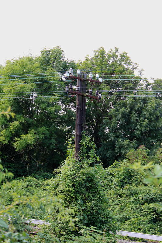 Telegraphenmast 08.08.2014
