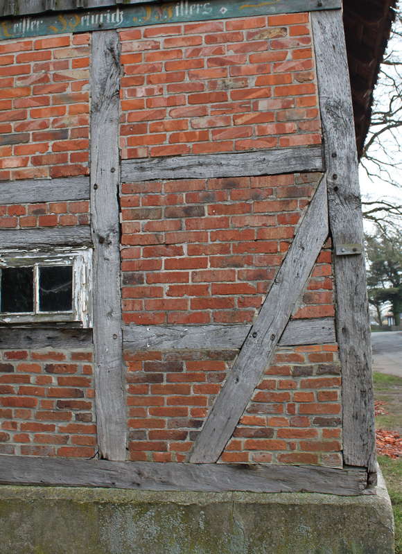 Mauer 15.02.2015