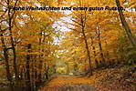 4346Herbststimmung.jpg