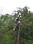 4346IMG_0377.jpg