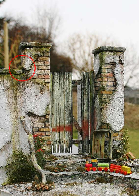 moospolster_mauer_marcel
