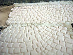 5715IMG_5433b.jpg