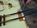 5715IMG_5546b.jpg