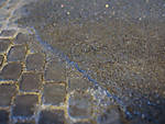 5715IMG_5687b.jpg