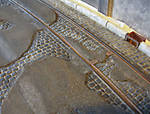 5715IMG_5701b.jpg