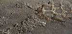 5715IMG_5731b.jpg