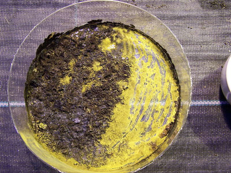 Rost 18.01.2013