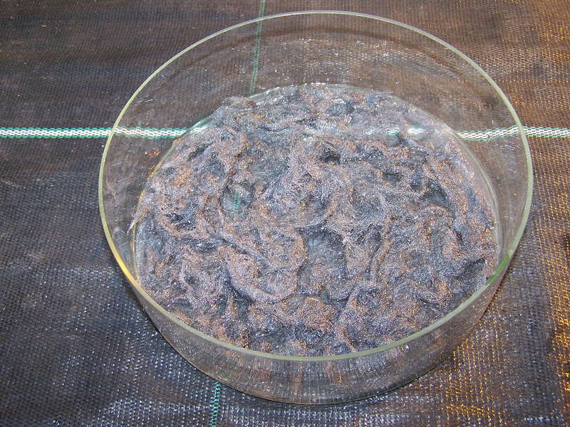 Rost 07.01.2013