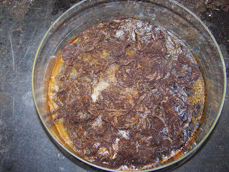 Rost 07.01.2013
