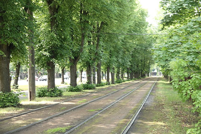 Riga