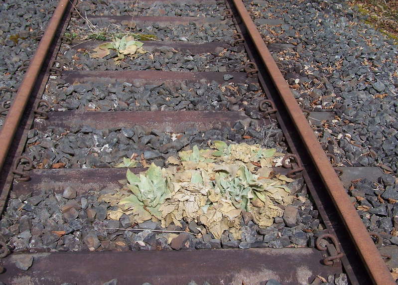 Aartalbahn 13.04.2013