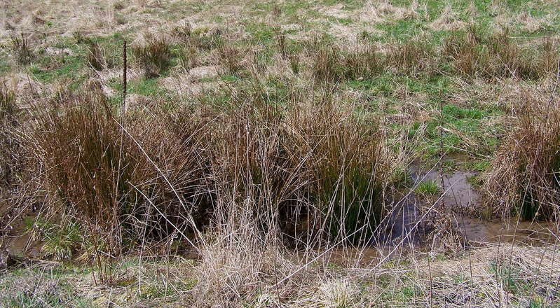Aartalbahn 13.04.2013