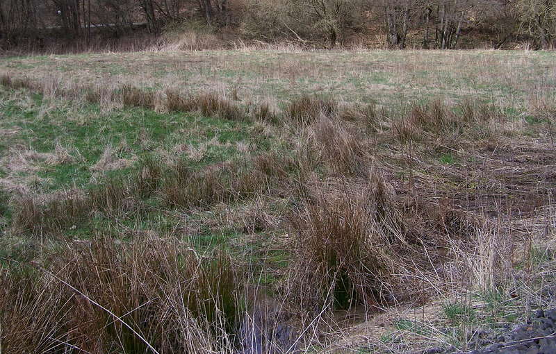 Aartalbahn 13.04.2013