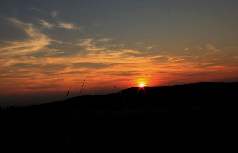 Odenwald 31.07.2014