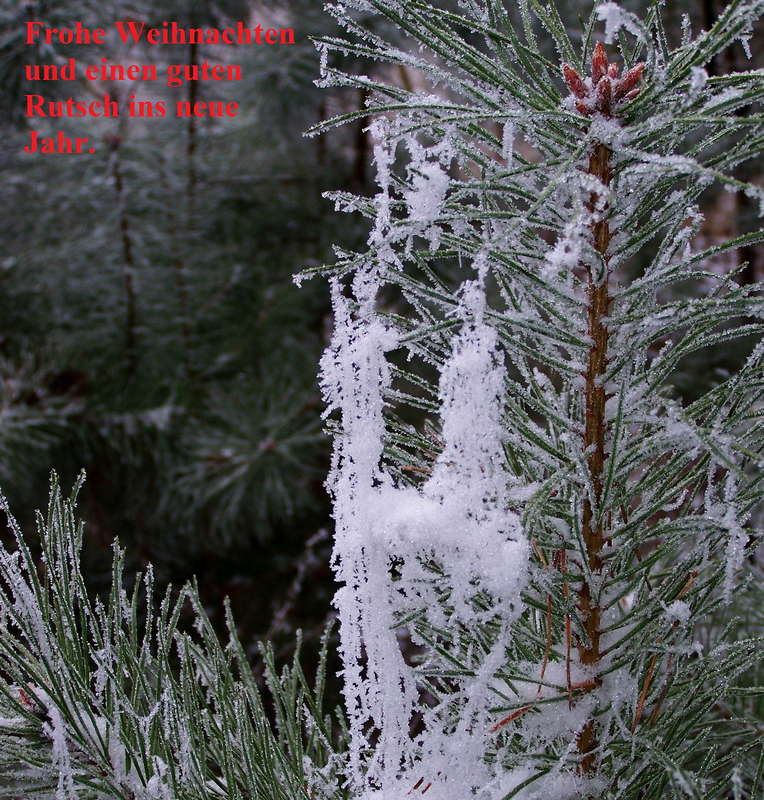 Weihnachtsgrüße 2016