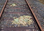 4346Aartalbahn_13_04_2013_l.jpg