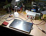 275P1230047.jpg