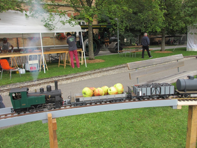 muensingen2014_007