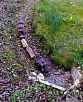 3607ostern2018_005.jpg