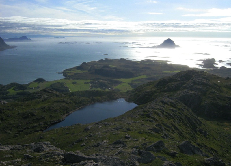 Nordland-Flora_29