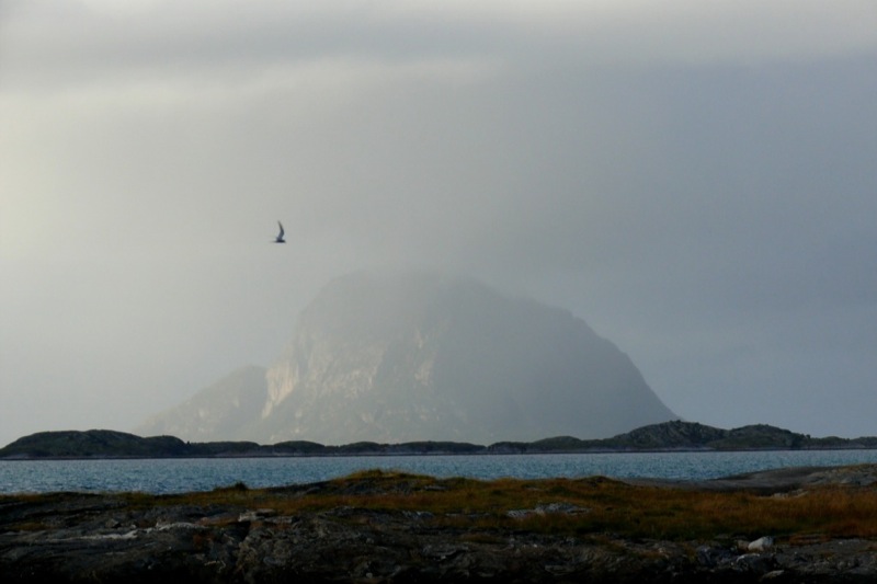 Nordland-Flora 08