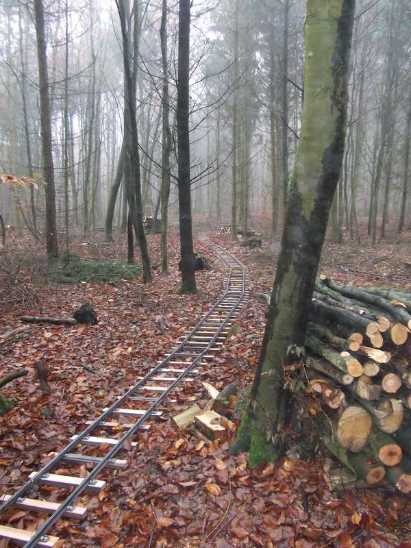 Gleise im Wald?