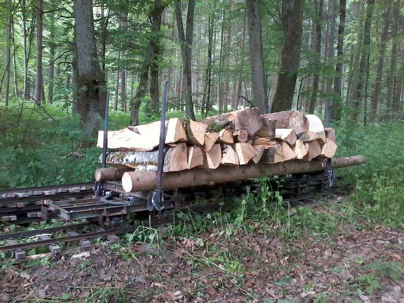 Buchen - Meterscheite, Holzabfuhr Sommer 2015