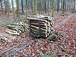 5485DSCF1174.JPG