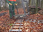 5485DSCF1176.JPG