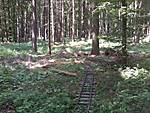 5485Foto0039.jpg