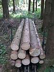 5485Foto0040.jpg