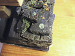5715IMG_7619b.jpg