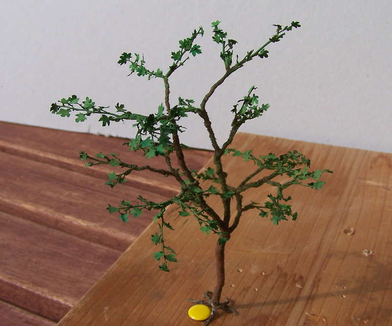 Ahornbaum 10.01.2013