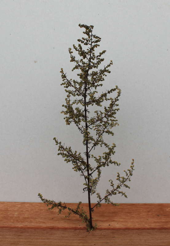 Artemisia 18.10.2014