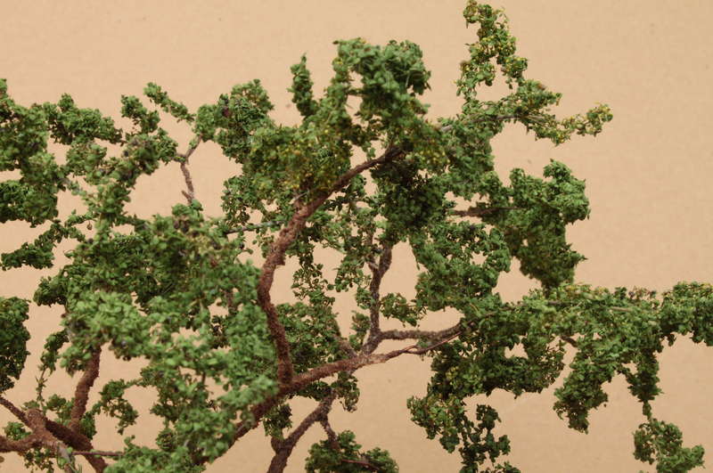 Baum 13.09.2014