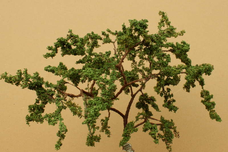 Baum 13.09.2014
