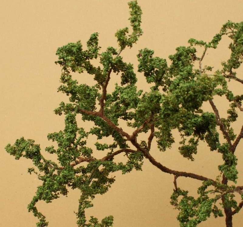Baum 13.09.2014