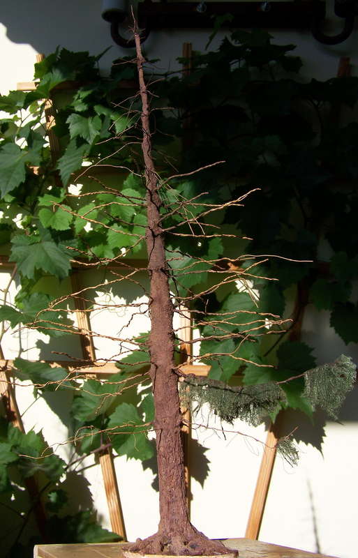 Fichte 02.08.2013