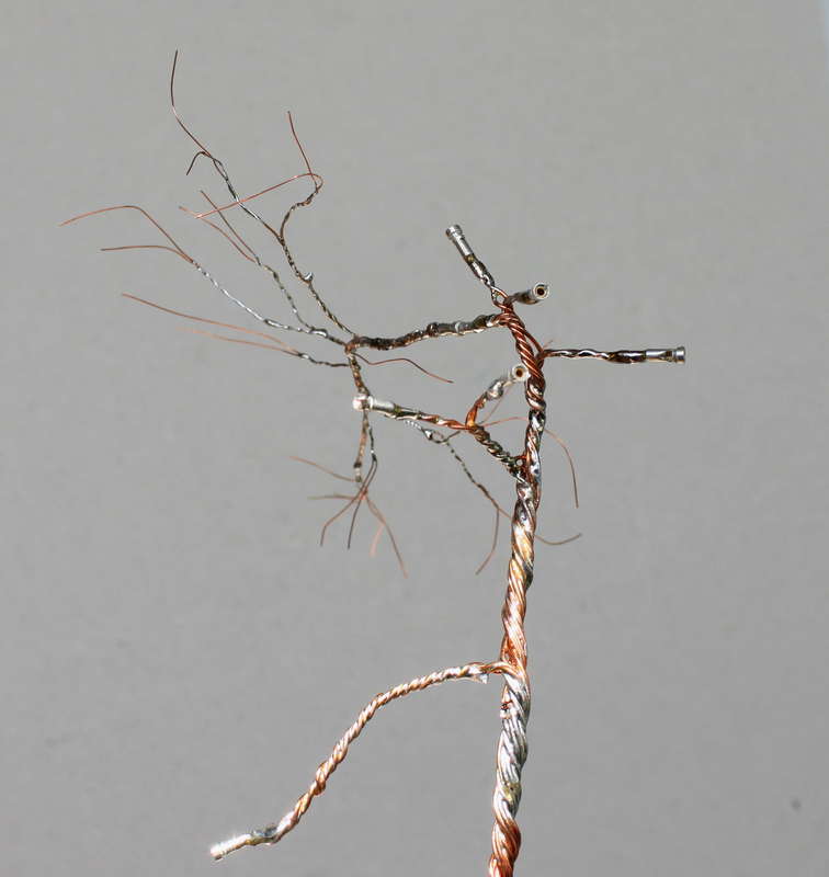 Kiefer 24.08.2014
