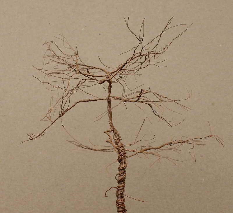 Kiefer 30.08.2014