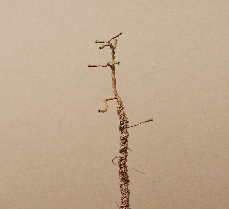 Kiefer 30.08.2014