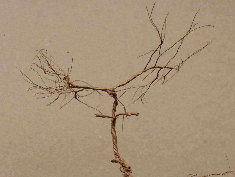 Kiefer 30.08.2014