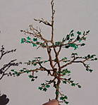 4346Ahornbaum_09_09_2013.jpg