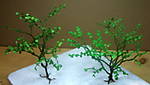 4346B_ume_22_11_2013.jpg